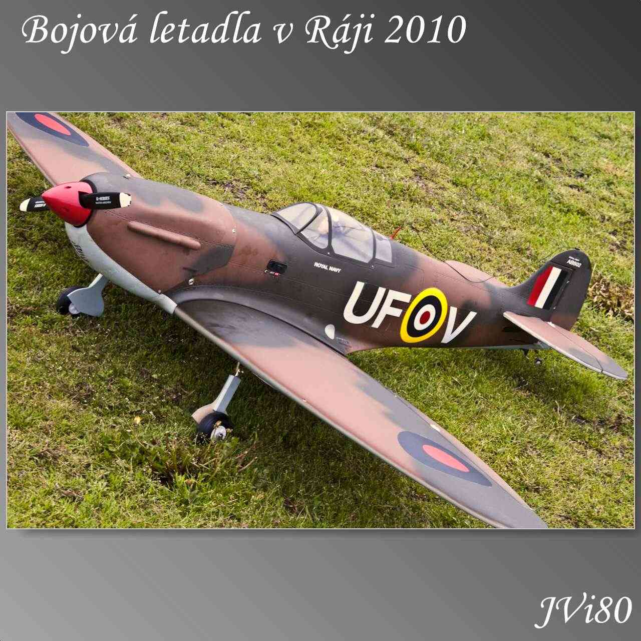 blvr_2010-web-003a