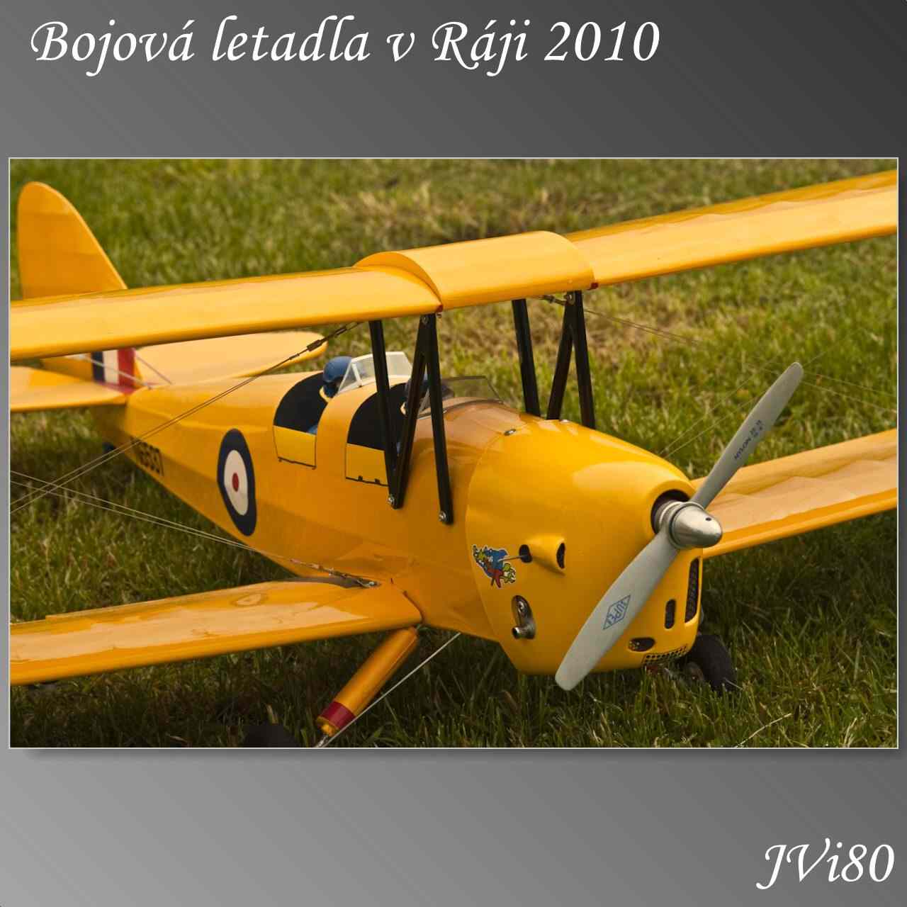 blvr_2010-web-055a