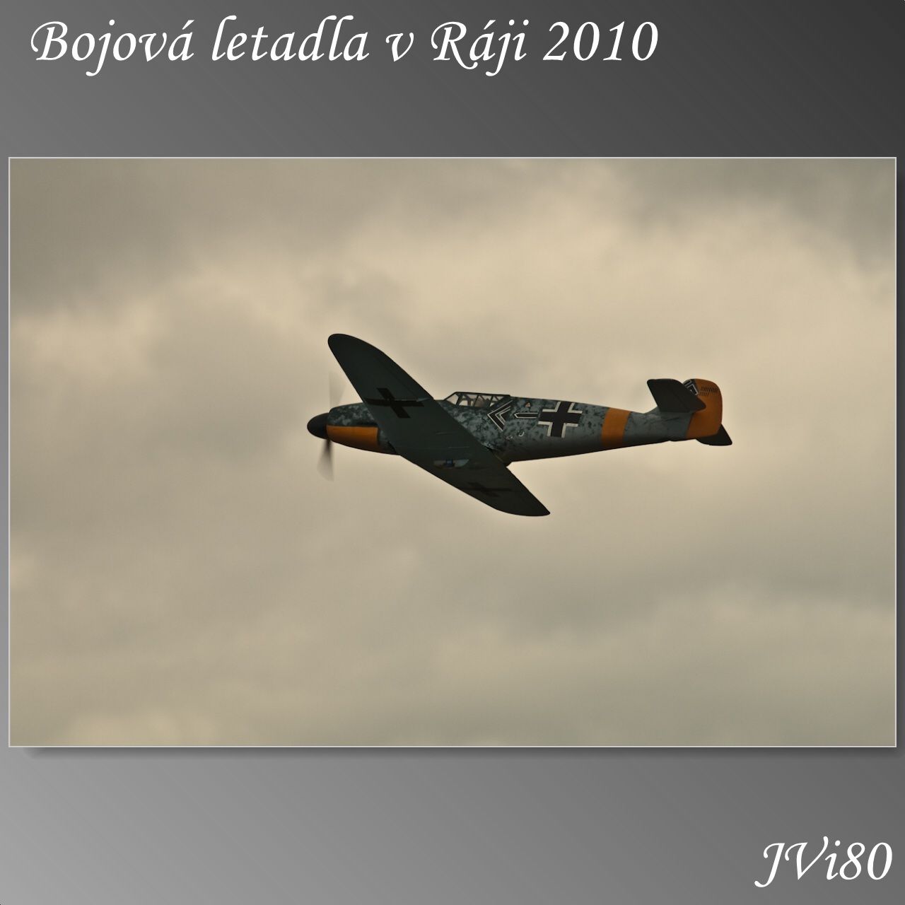 blvr_2010-web-222a