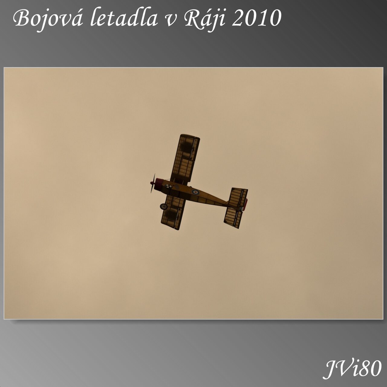 blvr_2010-web-229a