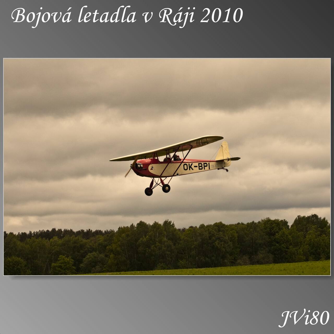 blvr_2010-web-251a
