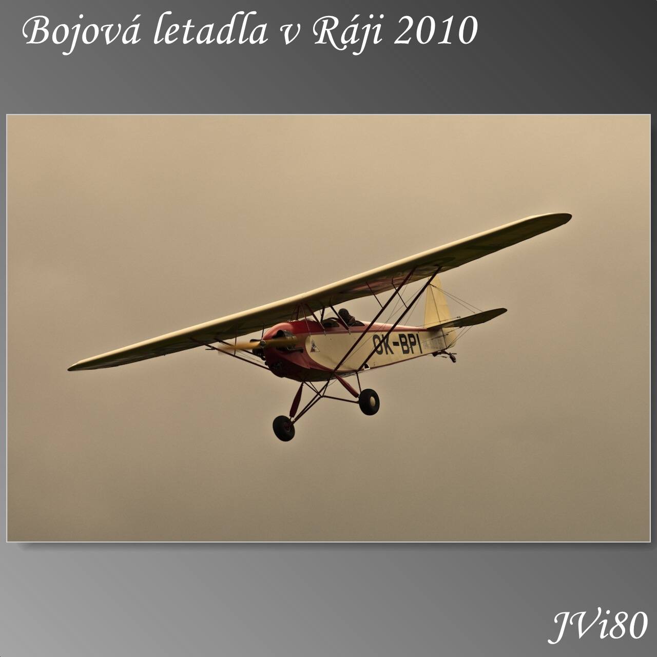 blvr_2010-web-265a