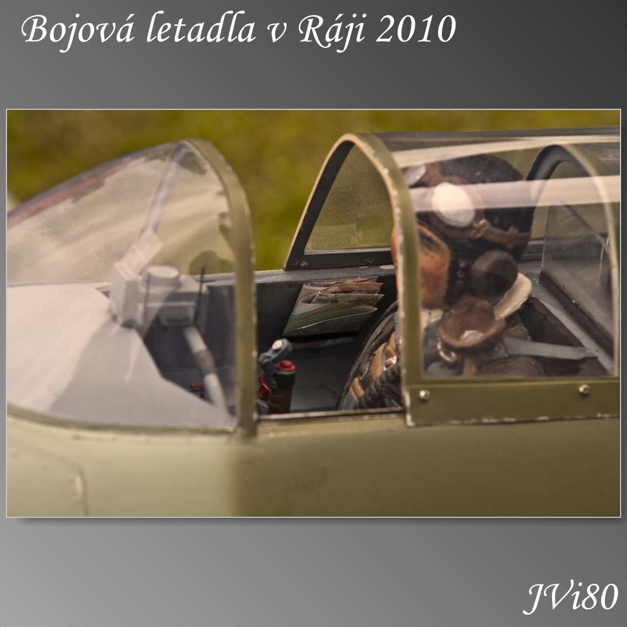 blvr_2010-web-284a